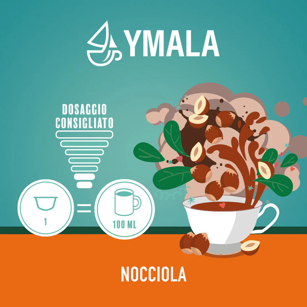 NOCCIOLA 16pz