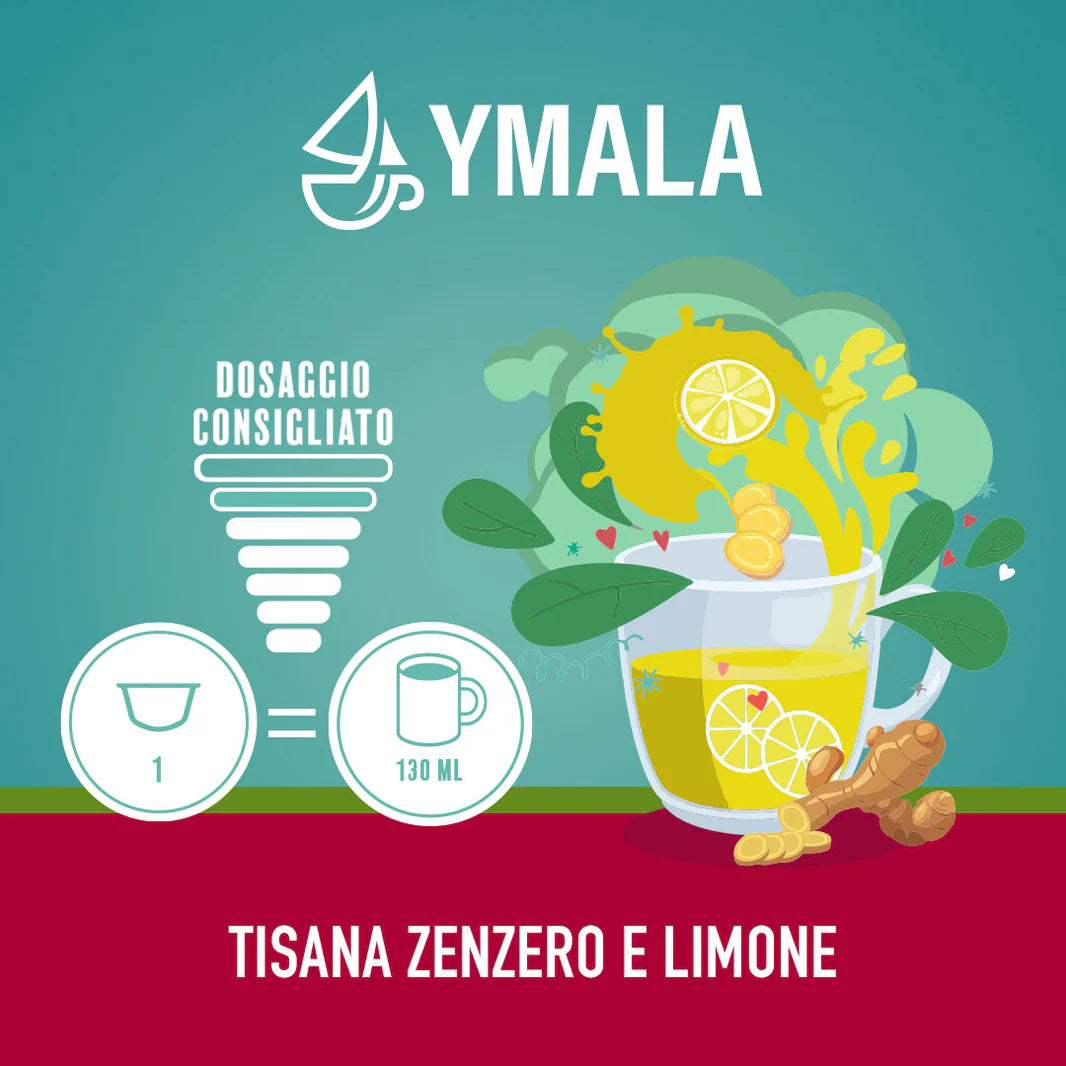 TISANA ZENZERO È LIMONE 16pz