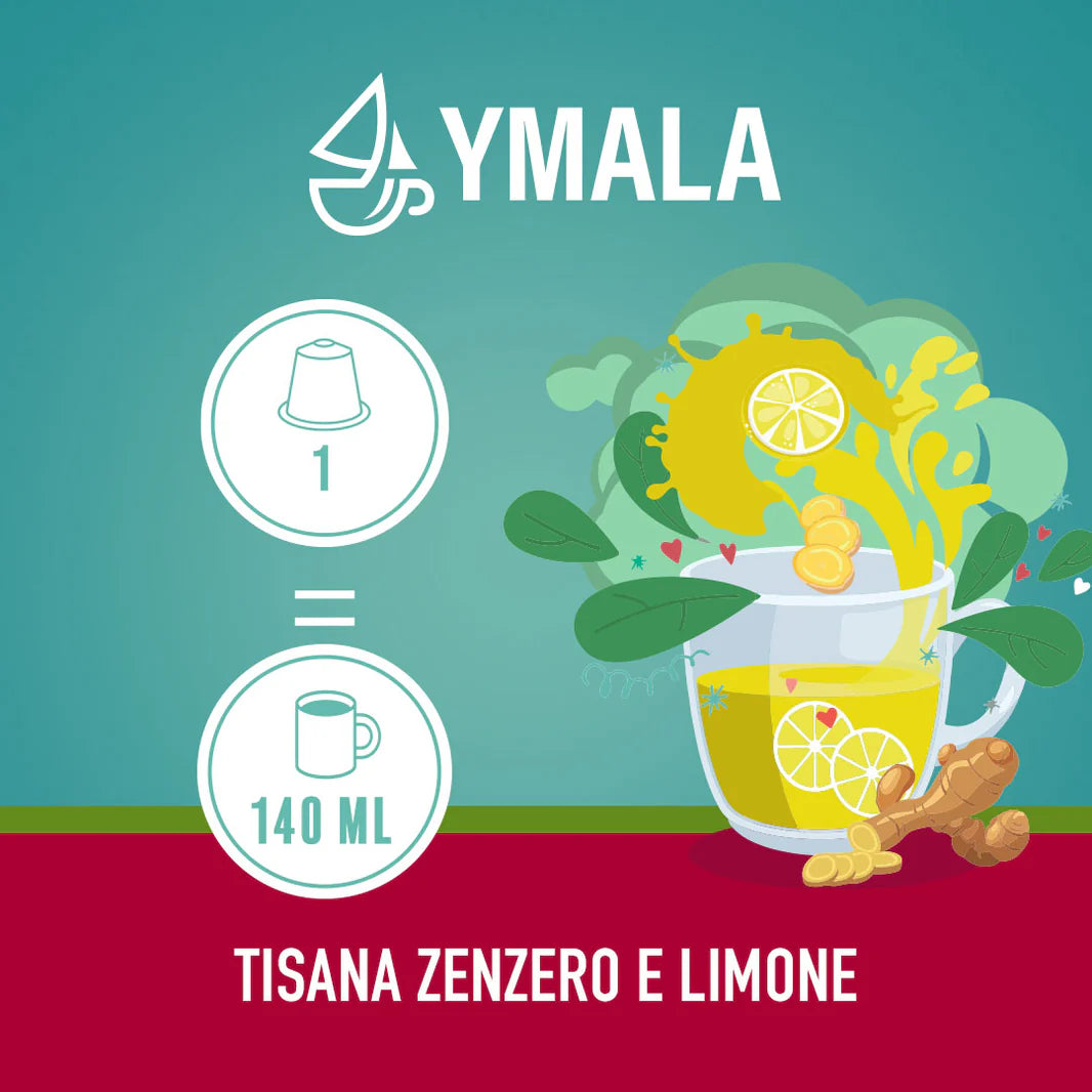 TISANA ZENZERO È LIMONE 10pz